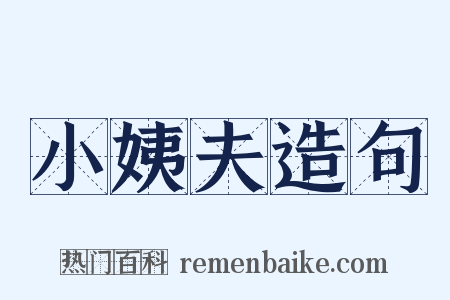 小姨夫造句是什么意思的图片